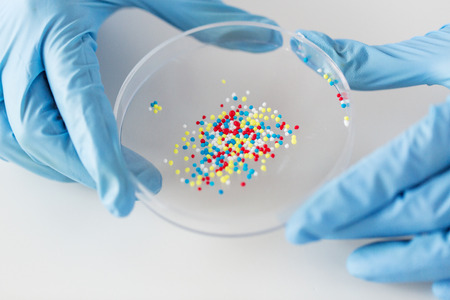 science, chemistry, biology, medicine and people concept - close up of scientist or doctor hands...