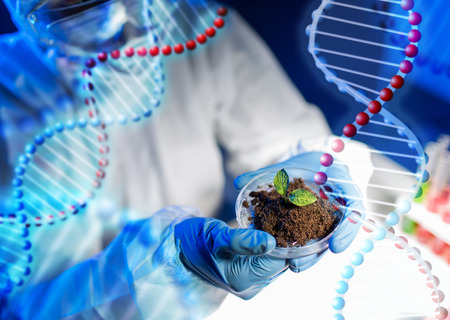 science, biology, ecology, research and people concept - close up of scientist hands holding petri dish with plant and soil sample in bio laboratory over dna molecule structure