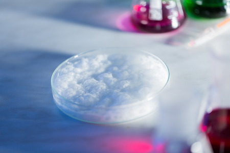 science, chemistry and people concept - close up of foaming chemical in petri dish on laboratory...