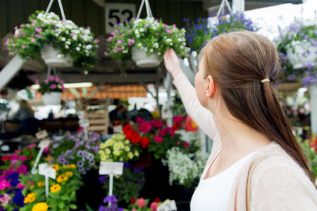 sale, shopping, gardening and people concept - close up of woman choosing flowers at street marketの写真素材