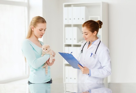 medicine, pet, animals, health care and people concept - woman holding scottish fold kitten and veterinarian doctor with clipboard at vet clinicの写真素材