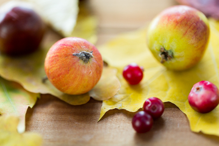 nature, season, autumn and botany concept - close up of autumn leaves, fruits and berries on wooden tableの写真素材