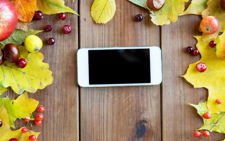 season, advertisement and technology concept - close up of smartphone in frame of autumn leaves, fruits and berries on wooden tableの写真素材