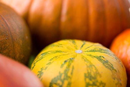 food, harvest, season and autumn concept - close up of pumpkinsの写真素材
