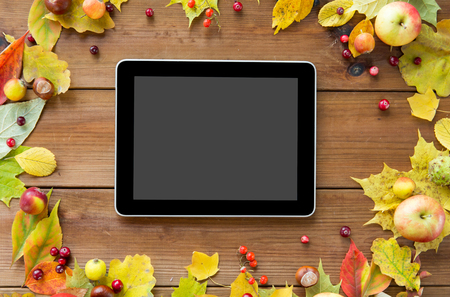 season, advertisement and technology concept - close up of tablet pc with blank screen in frame of autumn leaves, fruits and berries on wooden tableの写真素材