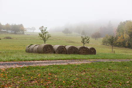 agriculture, harvesting, farming, season and nature concept - haystacks or hay rolls on summer field