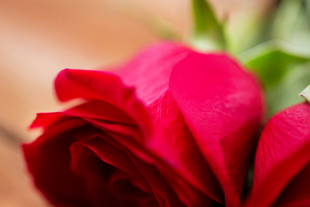 love, date, romance, valentines day and holidays concept - close up of red rose flowersの写真素材