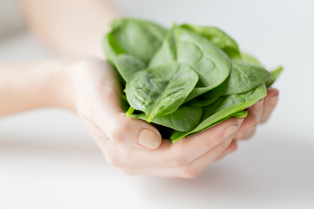 healthy eating, dieting, vegetarian food and people concept - close up of woman hands holding spinach at homeの写真素材