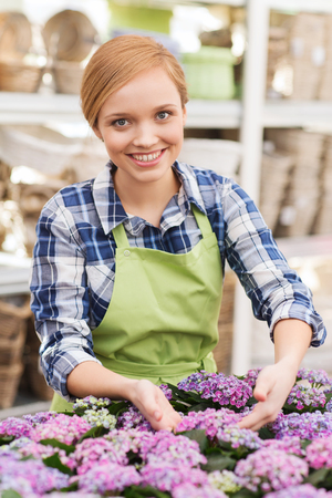 people, gardening and profession concept - happy woman or gardener taking care of flowers in greenhouseの写真素材