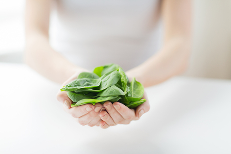 healthy eating, dieting, vegetarian food and people concept - close up of woman hands holding spinach at homeの写真素材