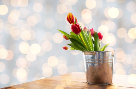 flora, spring, gardening and plant concept - close up of tulip flowers in tin bucket on wooden table at homeの写真素材