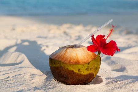 travel, tourism, vacation and summer holidays concept - coconut drink on exotic tropical maldives beachの写真素材