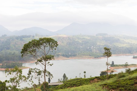 travel, tourism, nature and landscape concept - view to lake or river from land hills on Sri Lankaの写真素材