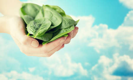healthy eating, dieting, vegetarian food and people concept - close up of woman hands holding spinach over blue sky and clouds backgroundの写真素材