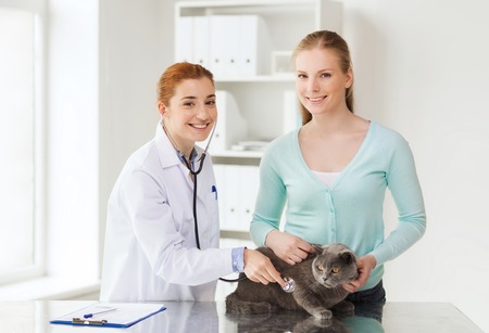 medicine, pet, animals, health care and people concept - happy woman and veterinarian doctor with stethoscope checking british cat up at vet clinicの写真素材