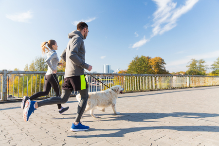 fitness, sport, people and jogging concept - happy couple with dog running outdoorsの写真素材