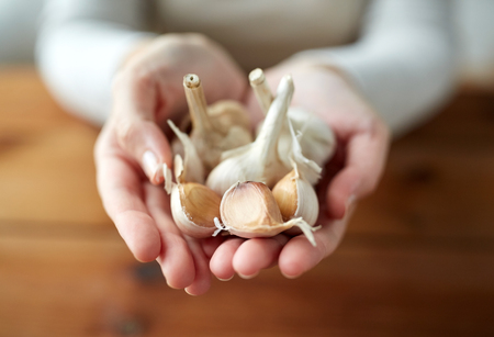 health, people, food, traditional medicine and ethnoscience concept - woman hands holding garlic for cooking or healingの写真素材
