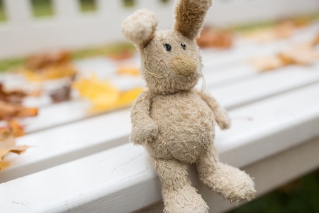 season, childhood and loneliness concept - lonely toy rabbit on bench in autumn parkの写真素材
