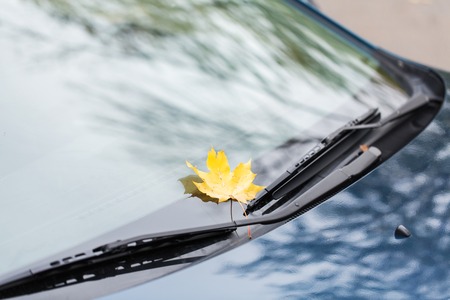 season and transport concept - close up of car wipers with autumn maple leaf on windshieldの写真素材
