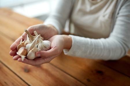 health, people, food, traditional medicine and ethnoscience concept - woman hands holding garlic for cooking or healingの写真素材