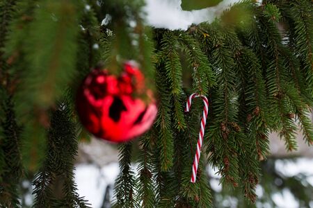 winter holidays and decoration concept - candy cane and christmas ball on fir tree branch covered with snowの写真素材