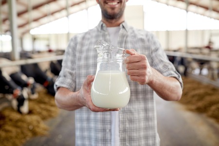 man or farmer with cows milk on dairy farmの写真素材
