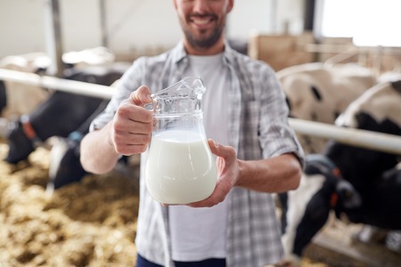 man or farmer with cows milk on dairy farmの写真素材