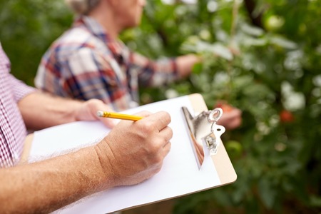 farming, gardening, harvesting, agriculture and people concept - senior couple with clipboard at farmの写真素材