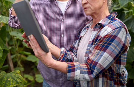senior couple with tablet pc at farm greenhouseの写真素材