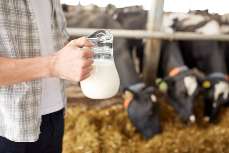 close up of man or farmer with milk on dairy farmの写真素材