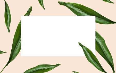 nature, organic and template concept - green leaves over white blank rectangular space on beige...