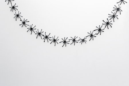 black toy spiders chain over white backgroundの写真素材