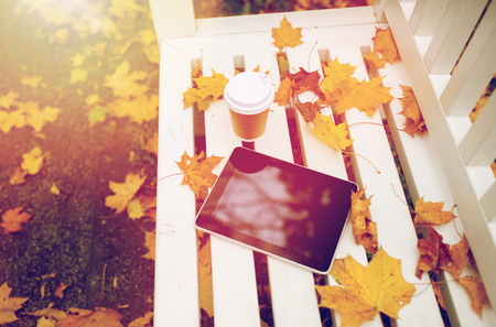 tablet pc and coffee cup on bench in autumn parkの写真素材