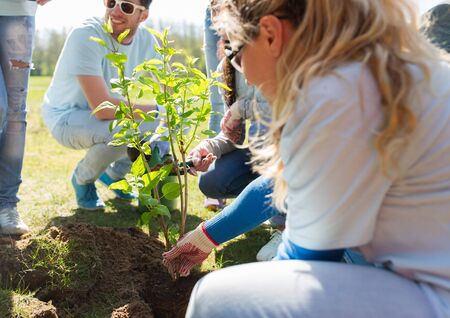 group of volunteers planting tree in parkの写真素材