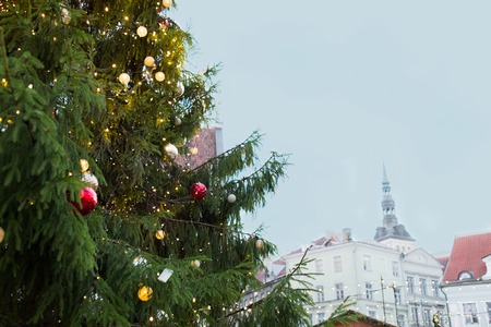 holidays and decoration concept - close up of natural christmas tree at old town hall square in tallinnの写真素材