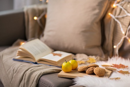 lemons, book, almond and oatmeal cookies on sofaの写真素材