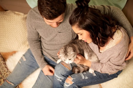happy couple with cat at homeの写真素材