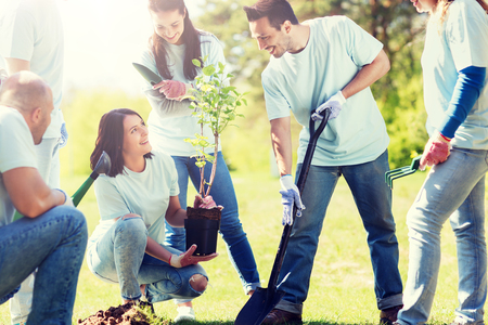 group of volunteers planting tree in parkの写真素材