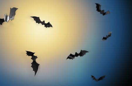bats flying over moonlight in night sky backgroundの写真素材