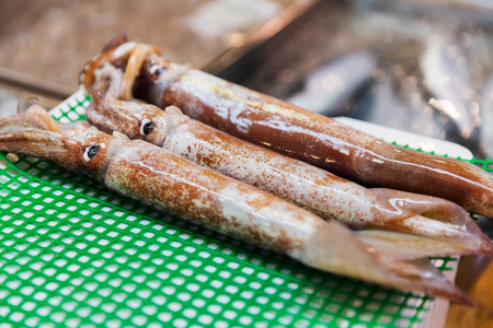 close up of fresh squids at japanese street market