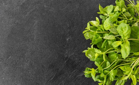 green mint leaves on stone backgroundの写真素材