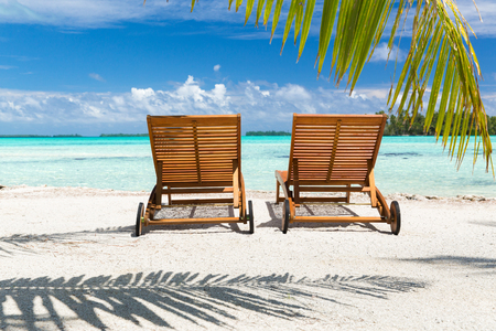 tropical beach with palm tree and sunbedsの写真素材