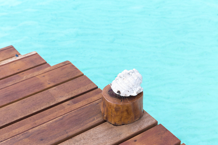 seashell on wooden pier in sea waterの写真素材