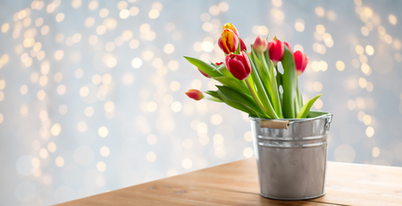 spring and gardening concept - red tulip flowers in tin bucket on wooden table over festive lights backgroundの写真素材