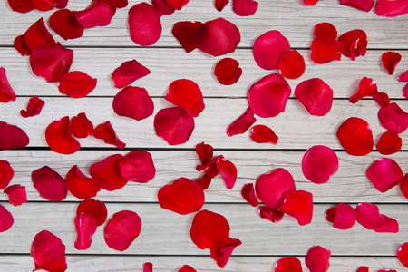 close up of red rose petalsの写真素材
