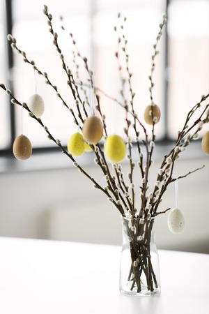 pussy willow branches decorated by easter eggsの写真素材