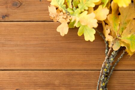 oak leaves in autumn colors on wooden table