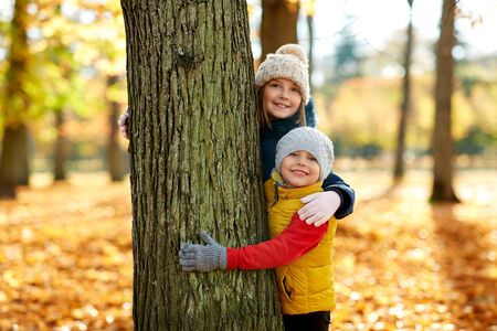 Childhood, season and family concept - happy children peeking out tree trunk at autumn parkの写真素材