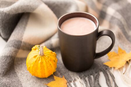 Hot chocolate, autumn leaves and warm blanketの写真素材