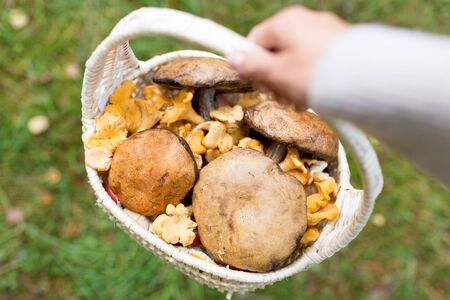 Season, nature and leisure concept - close up of young woman with basket of mushrooms in autumn forestの写真素材